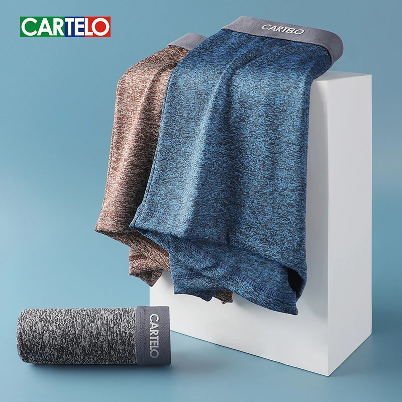 Cartelo Men Underwear Graphene 3A Grade Antibacterial Boxer Polyester Solid Color Underpants Breathable 3pcs Male Panties