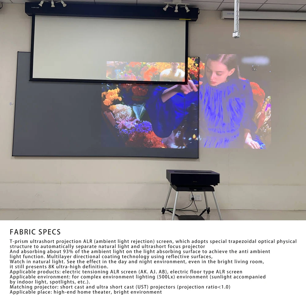 Diy Rear Projection Screen Material