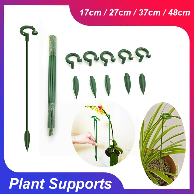 Növénytámogatások Virágállvány Pillangók Orchidea Támogató Rudak Mászó Növények Bot Protection Zöldségkerti Készletek
