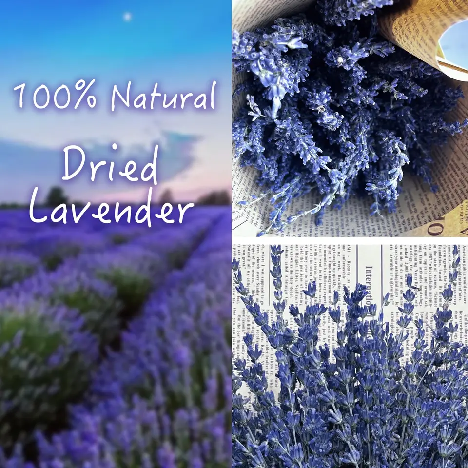 Mazzo di lavanda essiccata, pacchetto di fiori di lavanda conservati,  bouquet di lavanda naturale per artigianato, casa, matrimonio, arredamento  country francese - AliExpress, image size:960x960