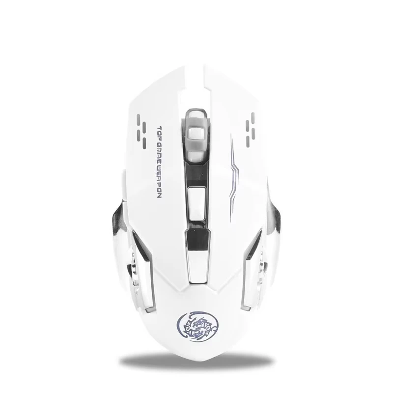Rechargeable RGB LED Ergonomic Wireless Mouse with Type-C Connection