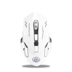 Rechargeable RGB LED Ergonomic Wireless Mouse with Type - C Connection (2.4G - White)