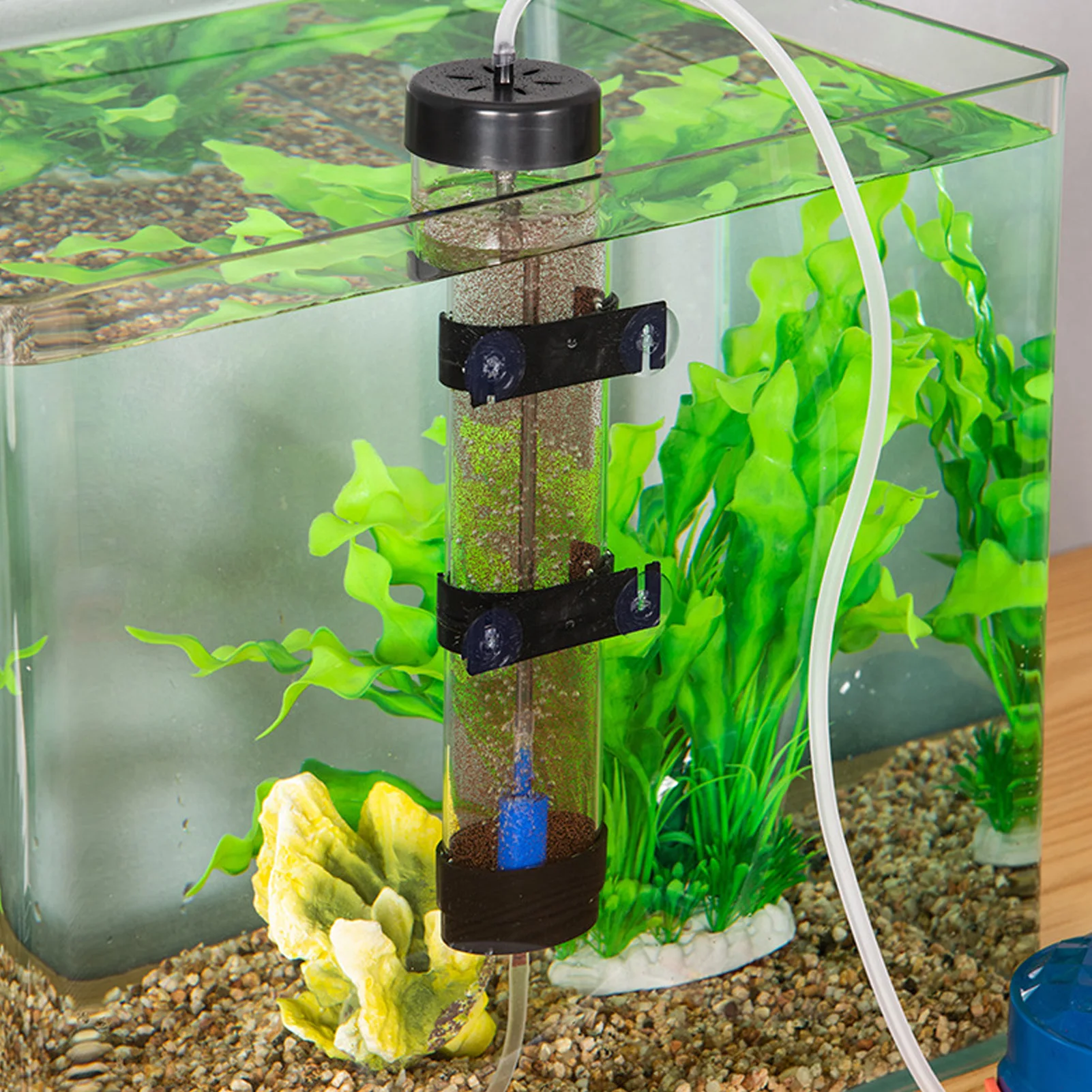 Artemia Eggs Hatchery Kit Fish Hatch Tool Prawn Incubator Shrimp Eggs Incubator Hatchery Kit Aquarium Fish Hatch Tool