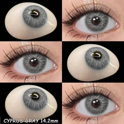 Vibrant Fashion Yearly Colored Contact Lenses - Blue & Gray Options (CYPRUS-gray)