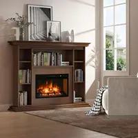Electric Fireplace Insert, Retro Recessed Fireplace Heater with Realistic Log Flame, Remote Control, and Adjustable Brightness 2