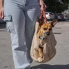 Safety Dog Car Carrier Handbag Seat for Small Dogs Cat Portable Puppy Carrier Tote Safety Pet Booster 6