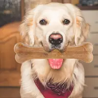 8 Inch Cowhide Bone Non-Toxic Creative Dog Chews Toys Anti-bite Leather Chew Bone Indestructible for Small Medium Large Dog 2