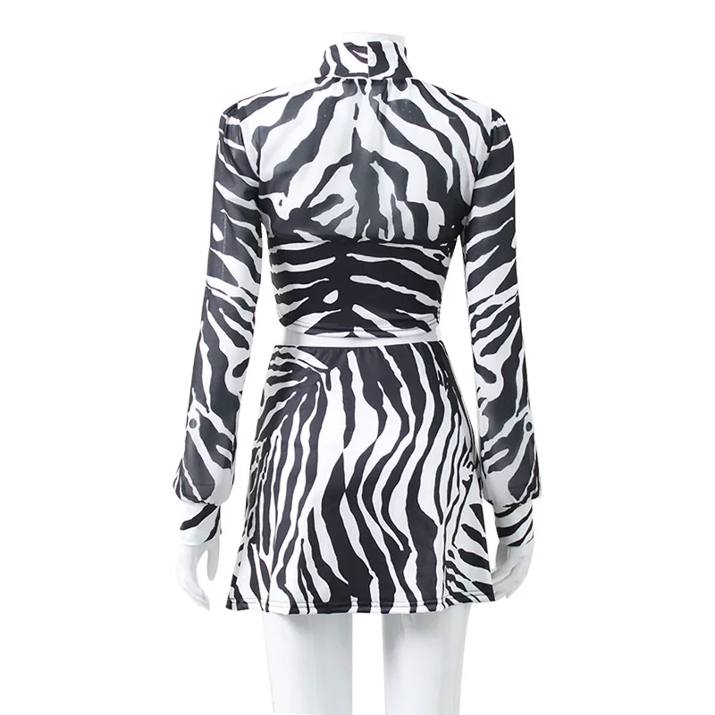 SKMY Women Clothing Summer New Turtleneck Sexy Mesh Two Piece Set Zebra Print Long Sleeve Crop Top Skirts Sets Night Club Outfit