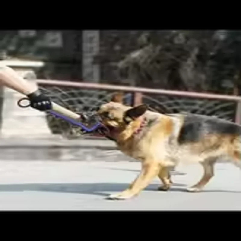 מקלות לעיסה מחוט יוטה גס לאילוף כלבים, כריות לעיסה לכלבי רועה גרמני, צעצועי כלבים עמידים