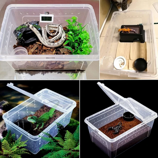 Reptile Breeding Box Reptile Terrarium Transparent Transparent Animal Habitat Cage for Snake Gecko Silkworm Reptile 4