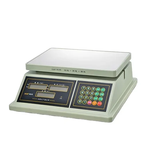 High Precision Fruit Weighing Scale Waterproof Double-sided Display Price Computing Scale For Vegetables