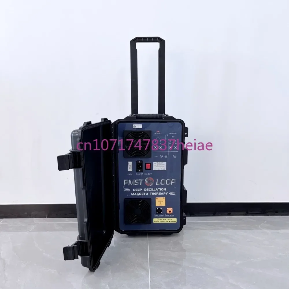 

Equine PEMF Physiotherapy Veterinary Magnetic Therapy Devices for Horses Muscle Pain Releax