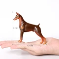 Doberman