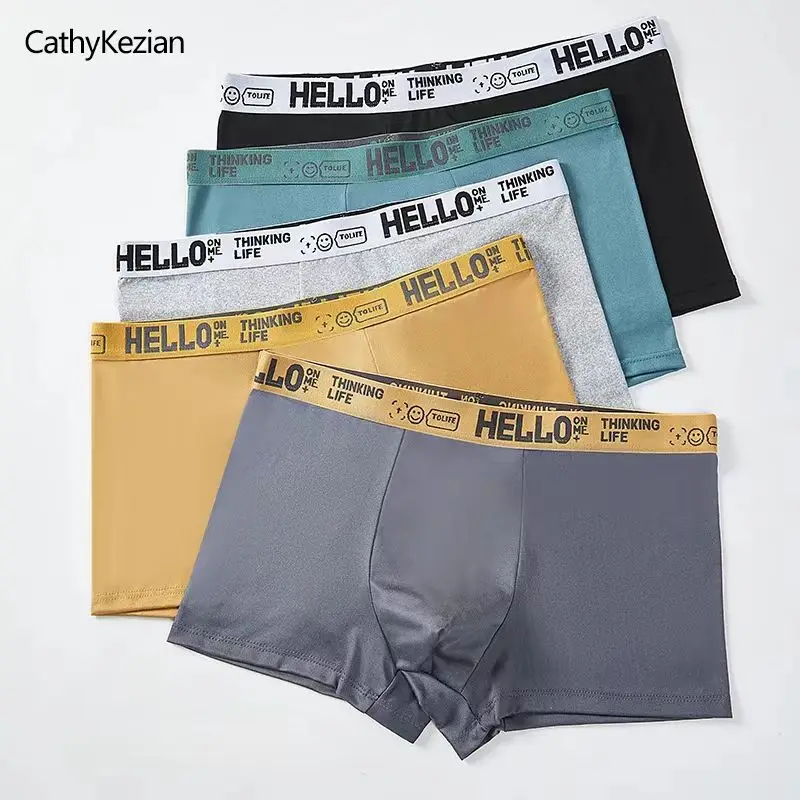 Men Boxers Shorts Underpants Underwear 10 Pieces 2XL 3XL 4XL 10 Colors Mixing Soft Fashion Sports Casual Boxer Shorts