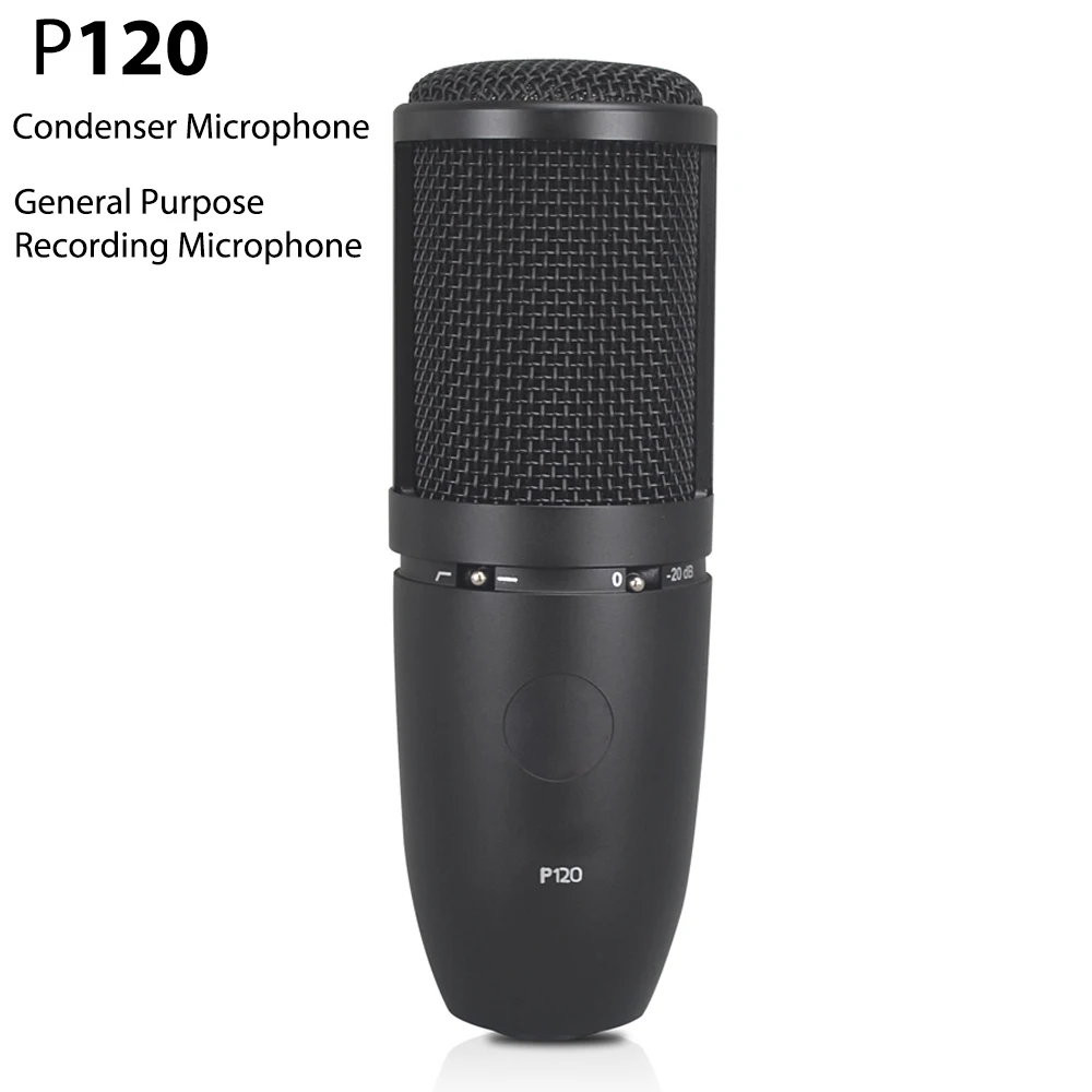 AKG-P120 콘덴서 캡슐 마이크, 고성능 범용 녹음 마이크, P120