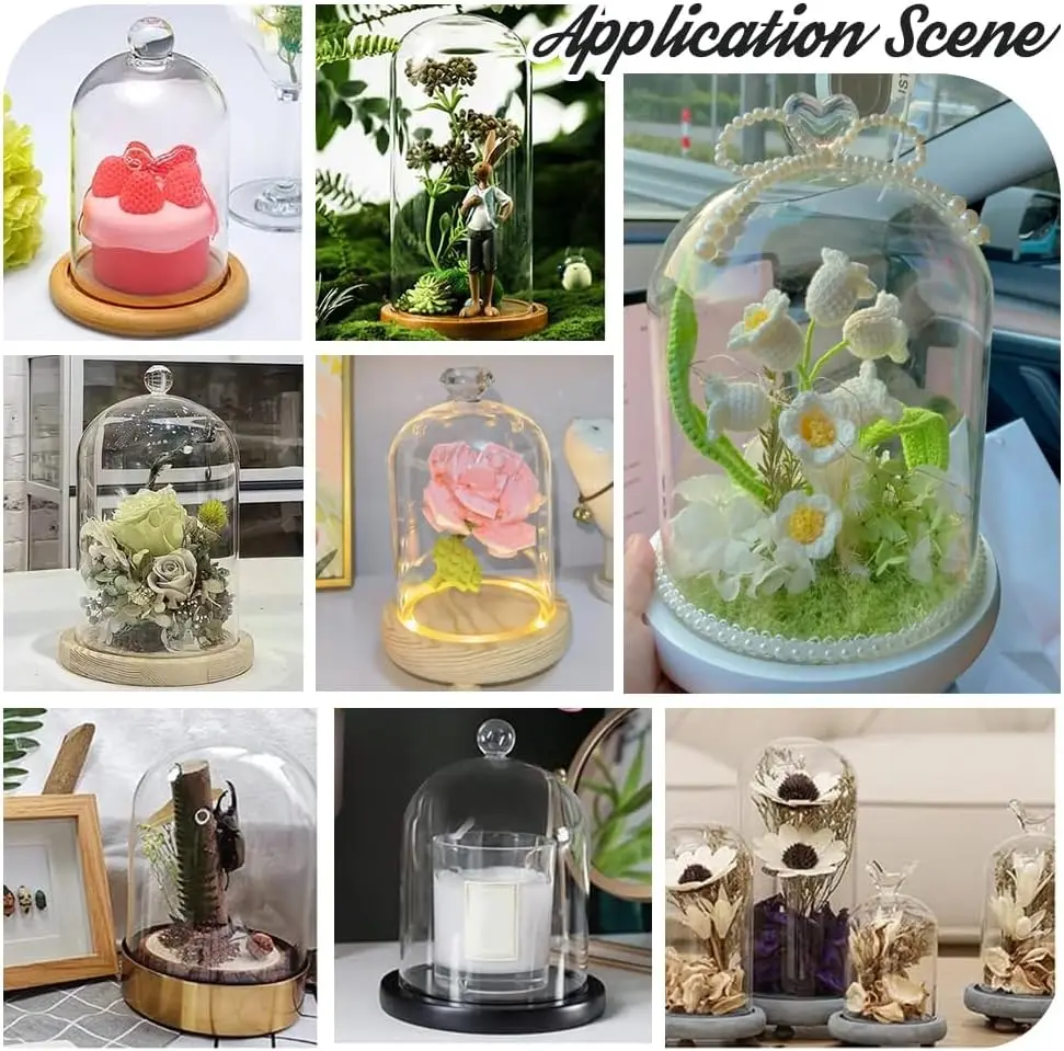 1 pc Cloche Glass Dome Clear Glass Display Dome with Top Handle for Plants