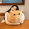 18cm Plush Cat Toy White Black Brown Stuffed Animal Cat Plush Throw Pillow Kids Toys Birthday Gift For Children 2