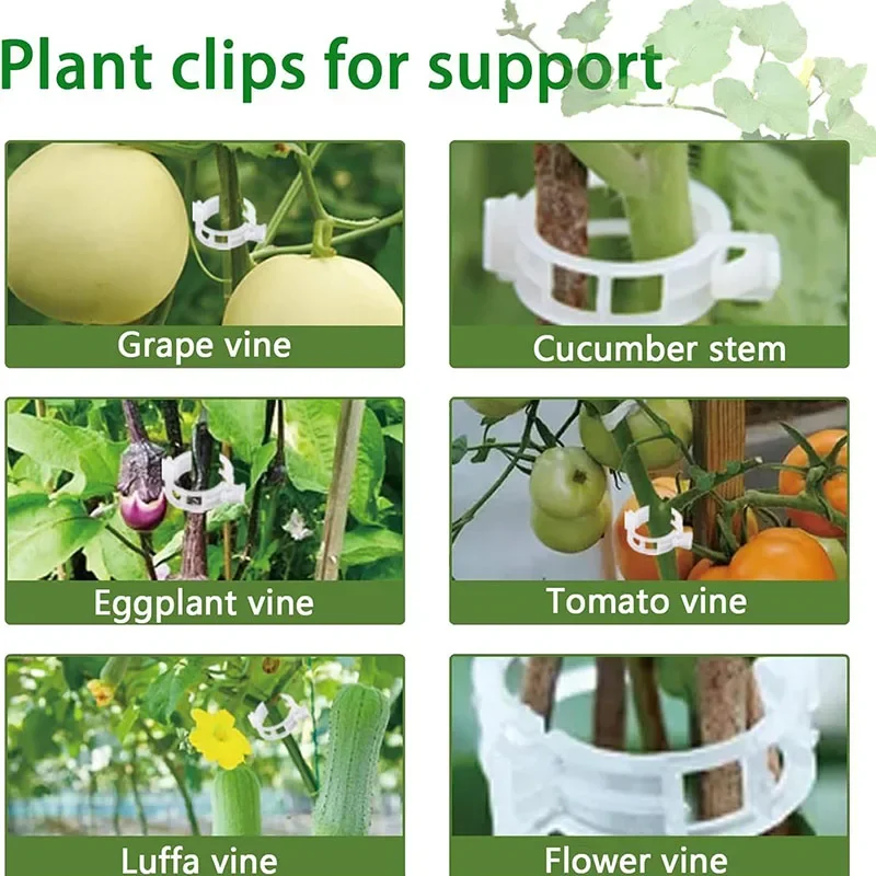 100PCS Plant Fixing Clips Reusable Plant Vegetables Vine Connects Fixing Tool Vegetable Tomato Grafting Protect Garden Supplies