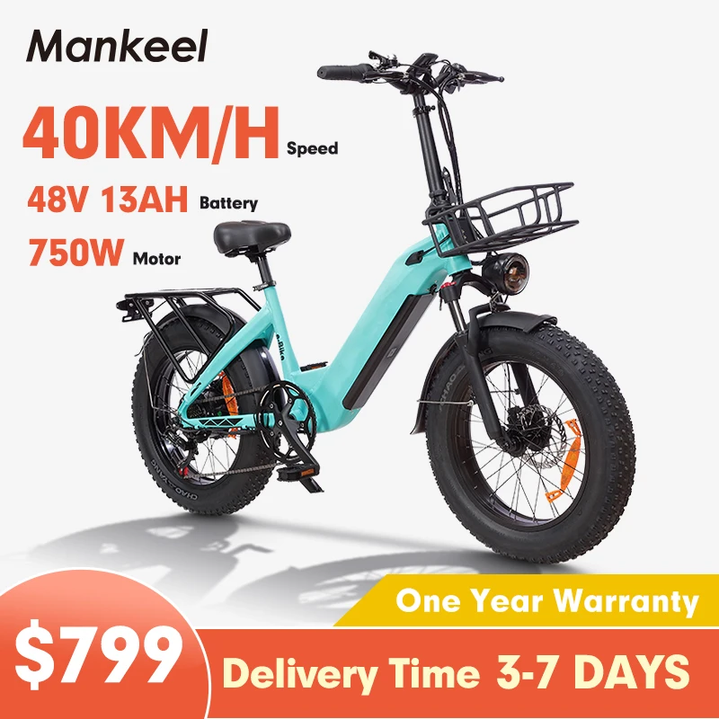 Mankeel MZ-9 20" Electric Bike 750W High Power Motor Electric Bicycle 48V 13Ah Folding Mountain City E Bike