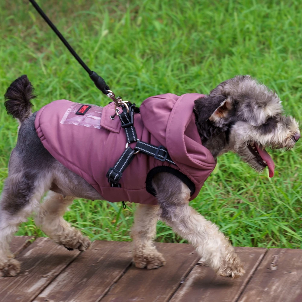 Winter huisdier hond kleding Franse bulldog huisdier warme jas jas waterdichte hondenkleding outfit vest voor kleine middelgrote grote honden ( kleur: zwart, maat: 2XL