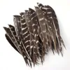 36pcs 4inch and 5inch Arrow Feather Turkey Feather Arrow Vanes For Arrow DIY Fletching Feather Arrow Accessory RW 2
