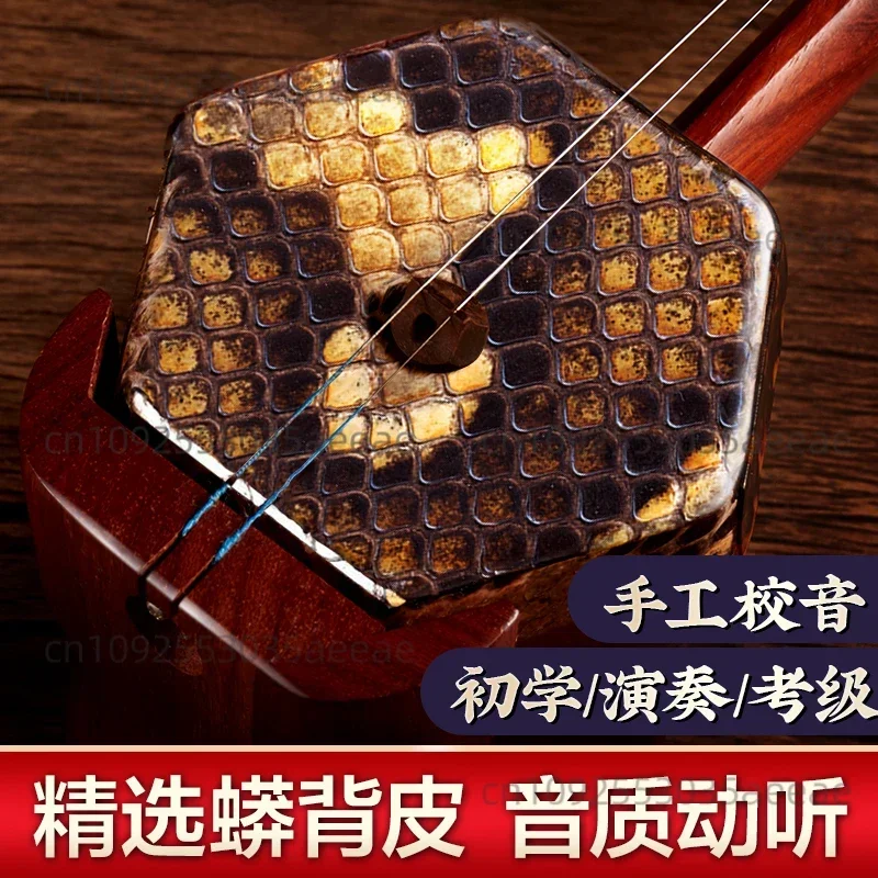 Ebony Mahogany Erhu Factory Direct Sale-Beginner/Adult Professional Performance Musical Instrument