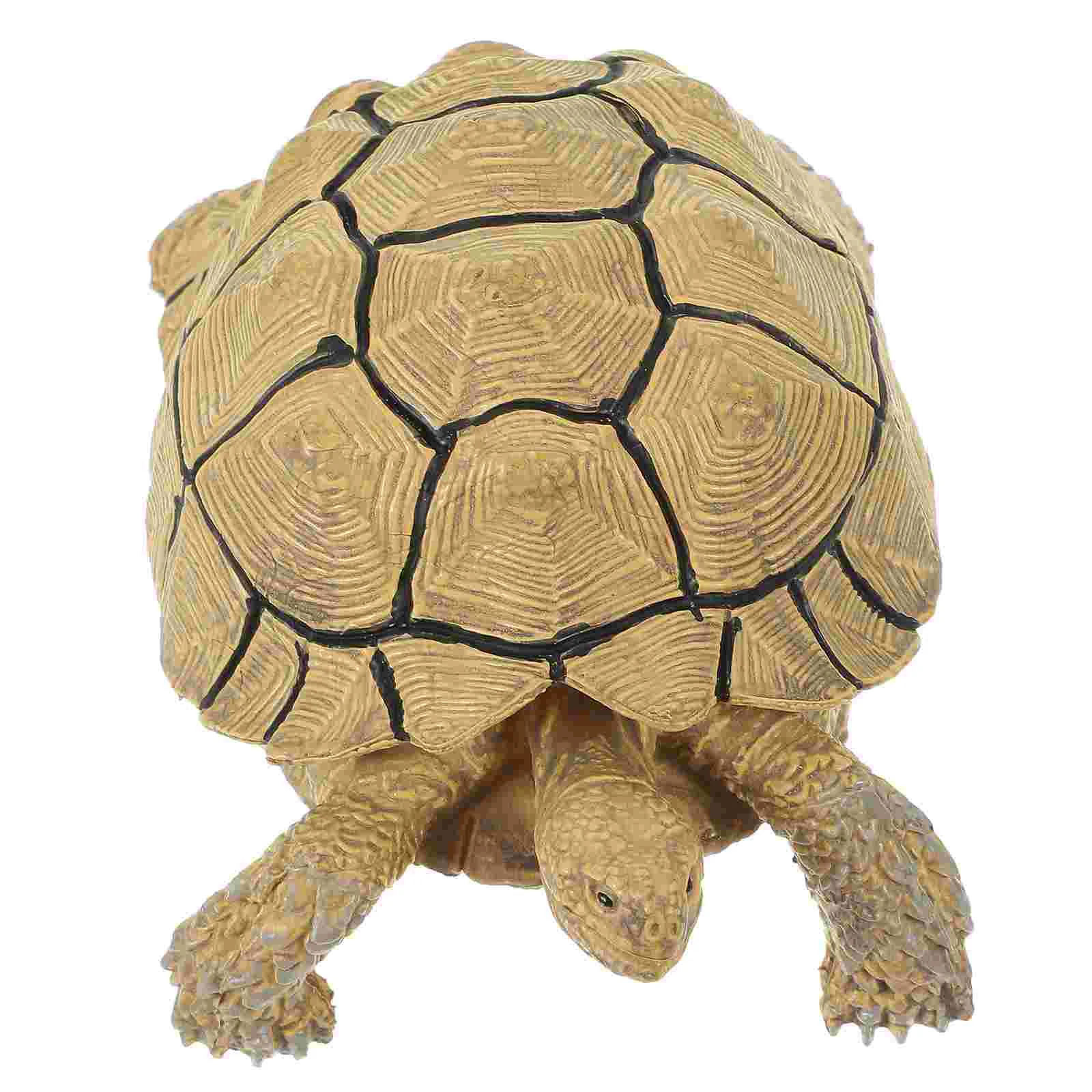 

Simulation Turtle Ornament Realistic Turtle Figurine Model Early Education Animal Statue