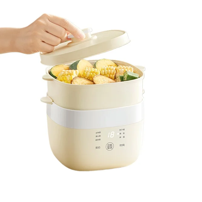 220V Electric Egg Boiler Household 2 Layers Food Steaming Cooking Machine Multi Cooker Steamer for Breakfast