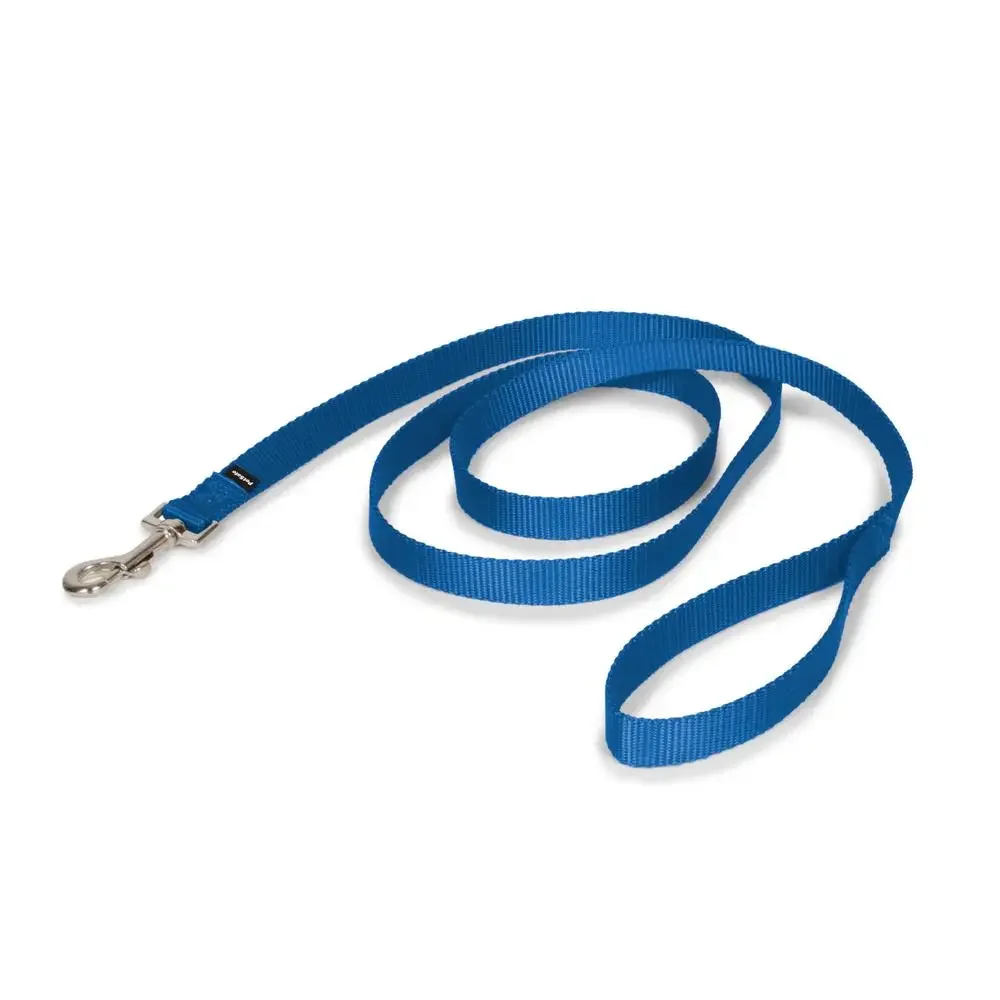 Durable Nylon Dog Leash Bolt Snap Easy Use Pet Training Walking 6ft x 3/4in Blue