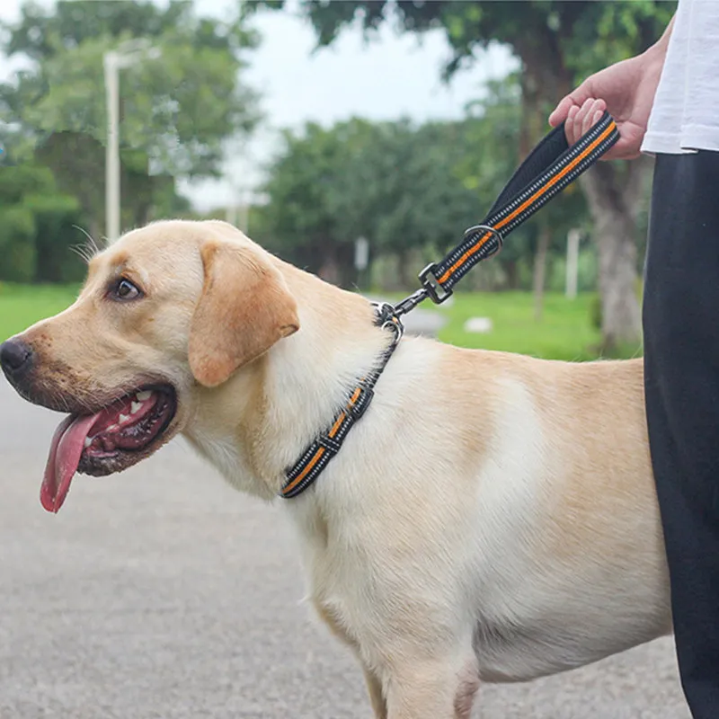 Dog Leash Labrador Neck Belt Dog Leash Short Dogs Leash Reflective