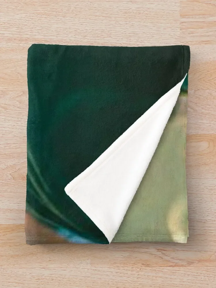 ���ī�� ī�޷� ������ ���, ��Ʈ�� ���, ��� ��Ÿ��, ���� ħ�� ���