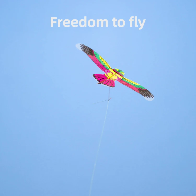 CERF-VOLANT,tiger--Catapulte En Forme De Cerf-volant Pour Enfants