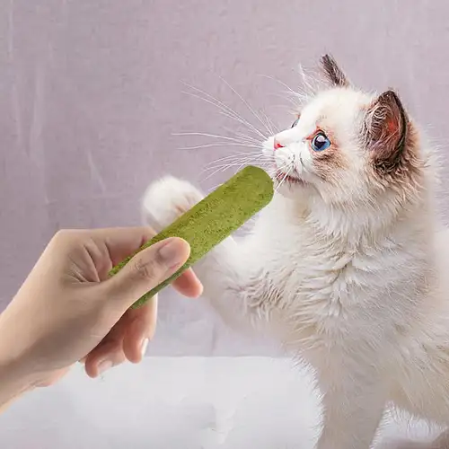 Cat Grass Sticks Grass Chewing Stick Freeze Dried Snacks Mouth Health Teething Digestive Aid Natural Teeth Cleaner Fattening Pet - Image 2