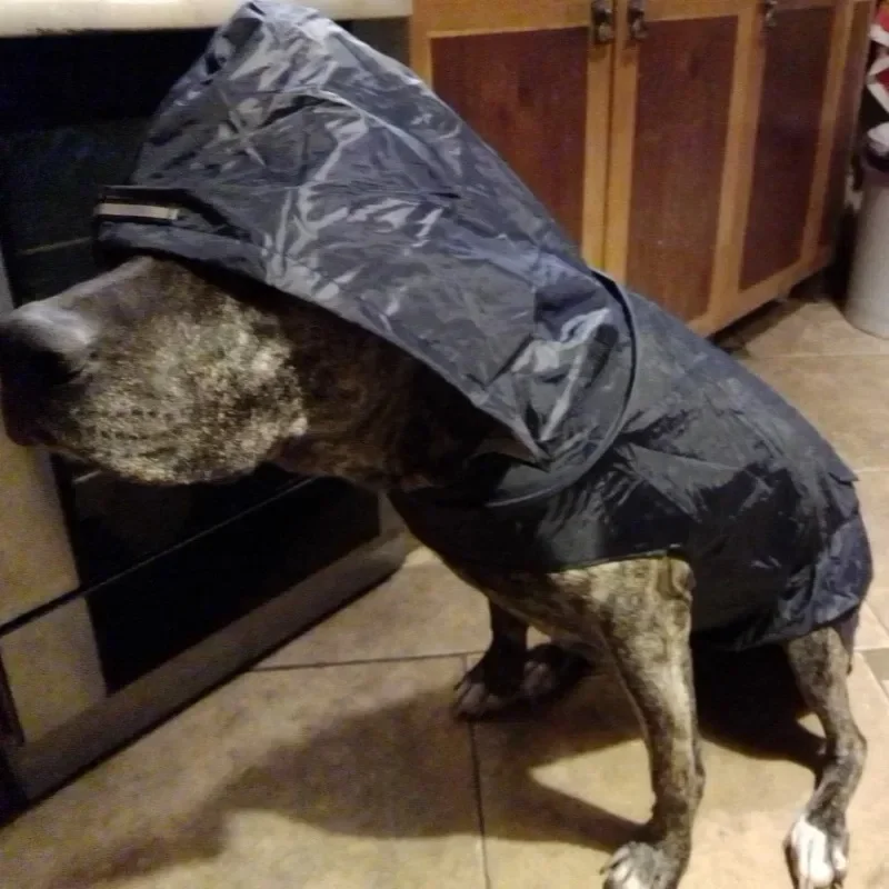 Dog Raincoat Waterproof Hoodie Jacket Rain Poncho Pet Rainwear with Reflective Stripe