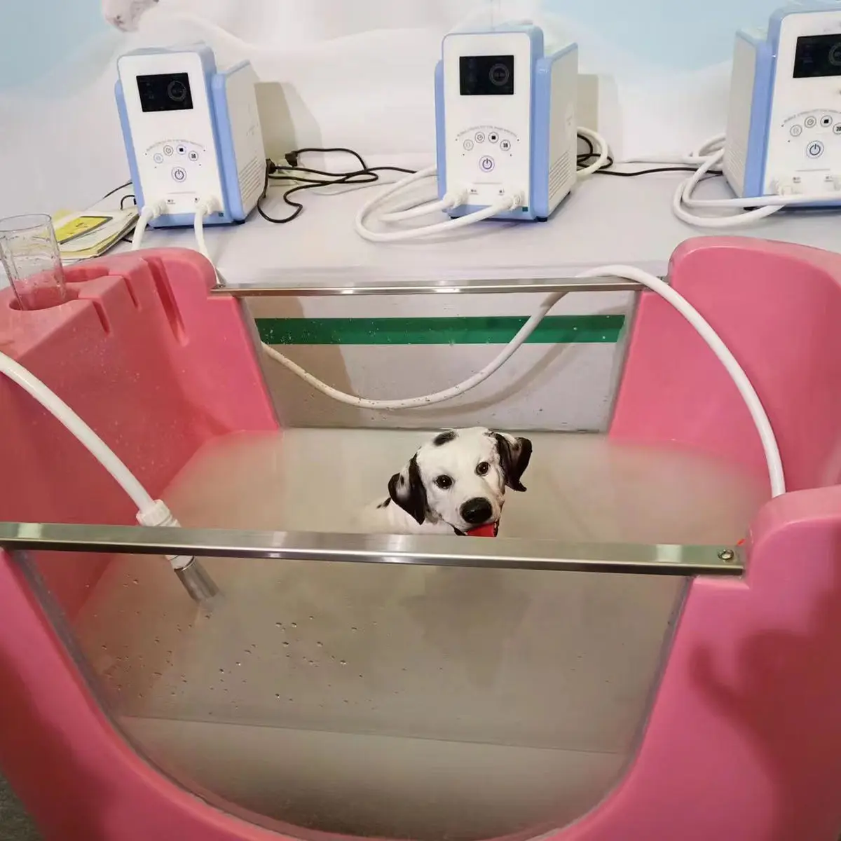 Pet Wash Machine Cat SPA Bathing Machine Eterinary Equipment Pet Clinic Cat Dog Bubble Strong Nano Bubble SPA Wash