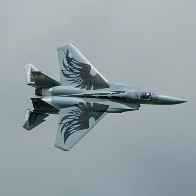 XFly RC Dual Channel Fighter Outdoor assembled foam Remote Controlled Aircraft Fixed Wing Double 40mm F-15 PNP Version 5