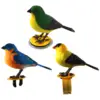 Cute Sing Electronic Birds Toy Music Educational Controlled Bird 5