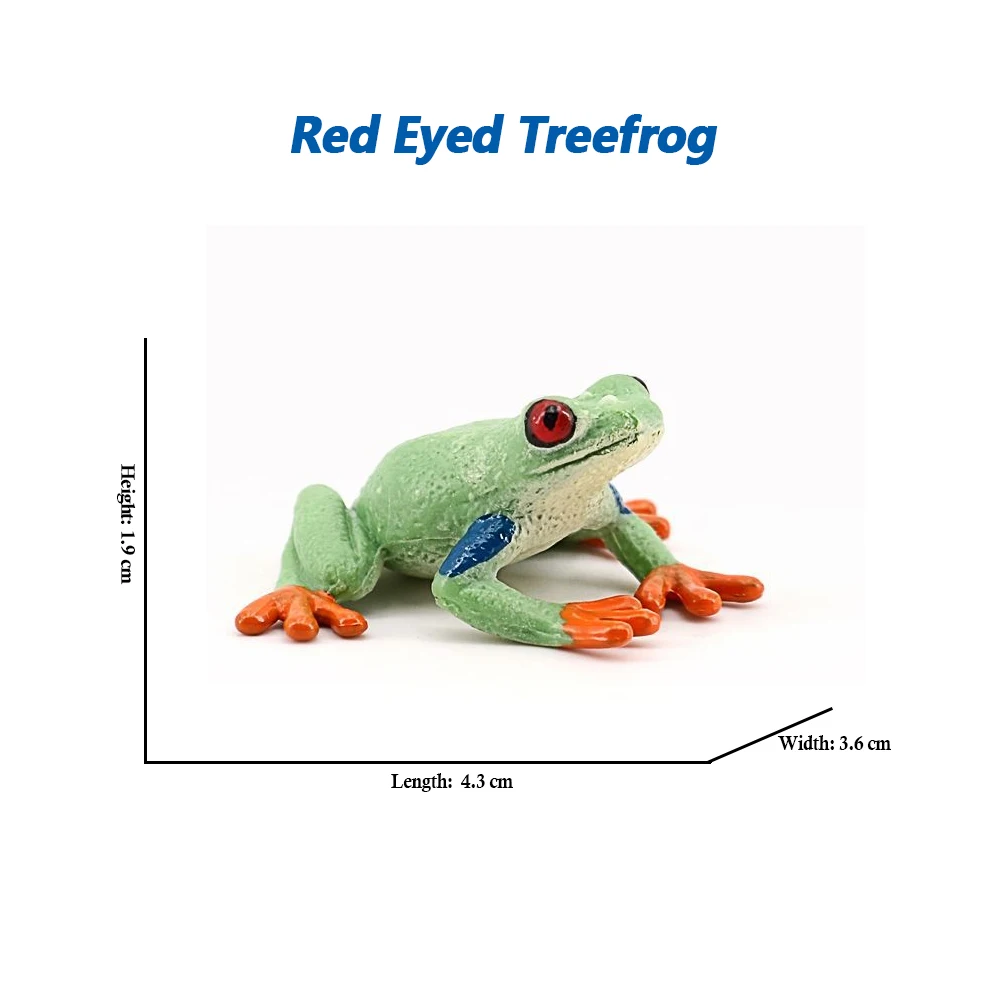 Rainforest Animal Figurines - Squishy Frog Action Toy for Kids