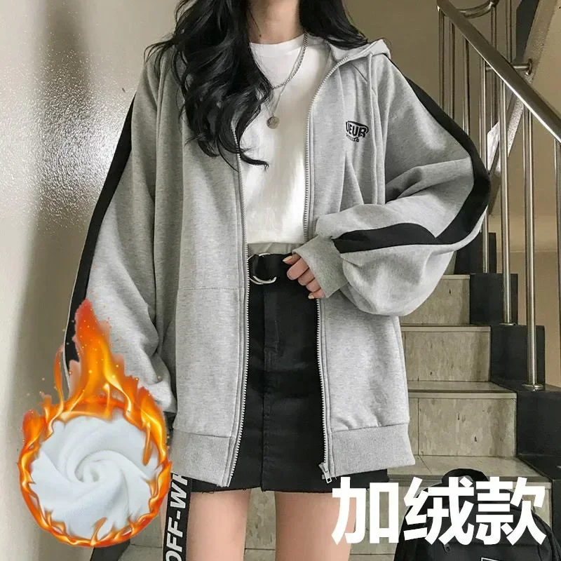  ѱ м  ĵ,  Ҹ  ø Ʈ, ϶ ƮƮ,  ĵ, Y2k, 2023 