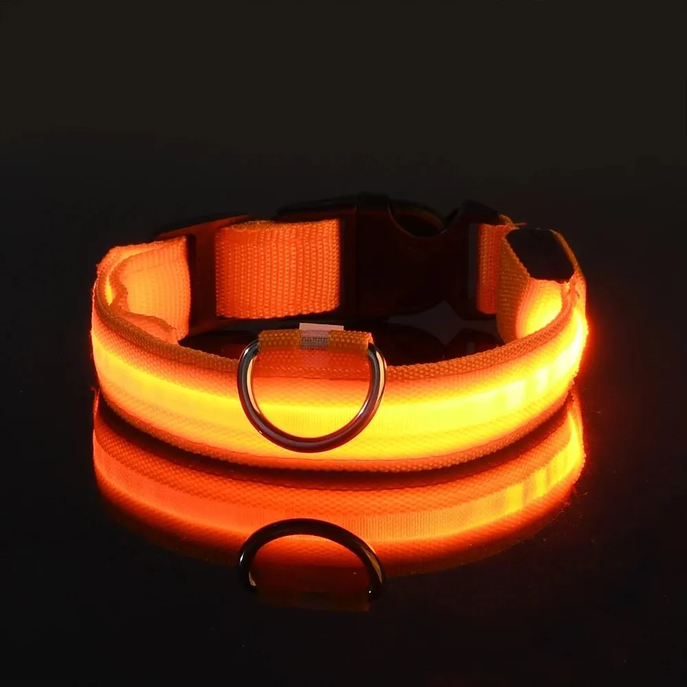 Luminous LED Night Safety Glow Dog Leash and Collar