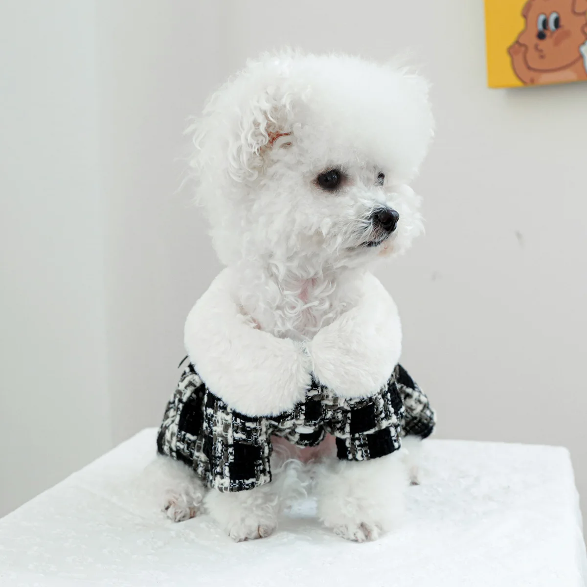Autumn and Winter Coat Cat Puppy Clothes - PeticaDeals
