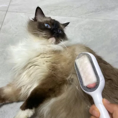 중력 고양이 청소 플로팅 털 제거 빗, 일회용 물티슈 포함, 애완 동물 그루밍 액세서리, 고양이용 고타스 마스코트 개 브러시 4