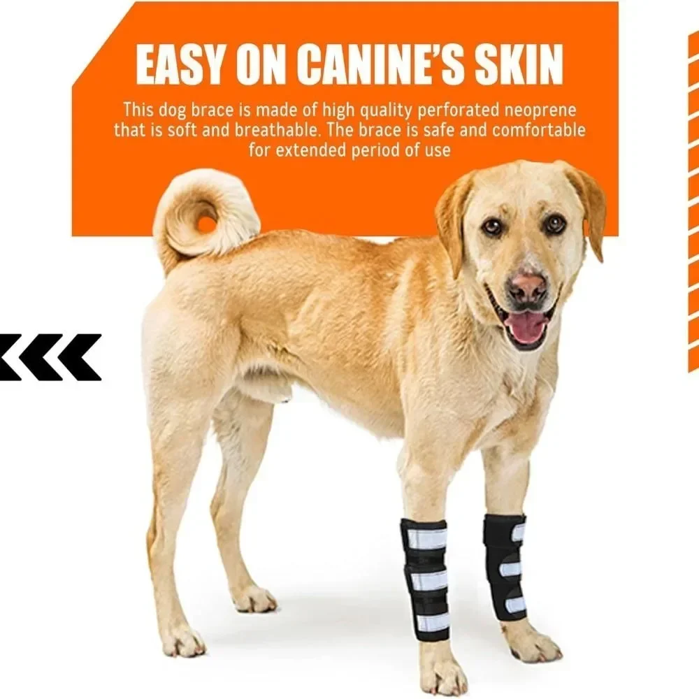 Sd4995081cf5a461a9f378410dcc3b1457.jpg Sd4995081cf5a461a9f378410dcc3b1457.jpg