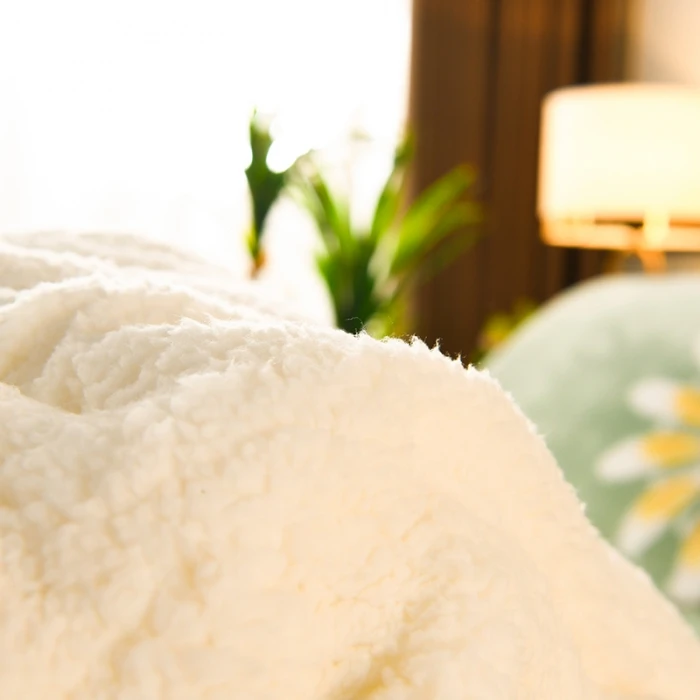 Winter Lamb Wool Blanket - Thick Printed Bedding for Dorms