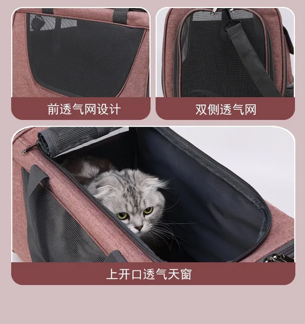 Sac dos de Transport pour animaux de compagnie pliable amovible pliable Portable chien chat Cage de