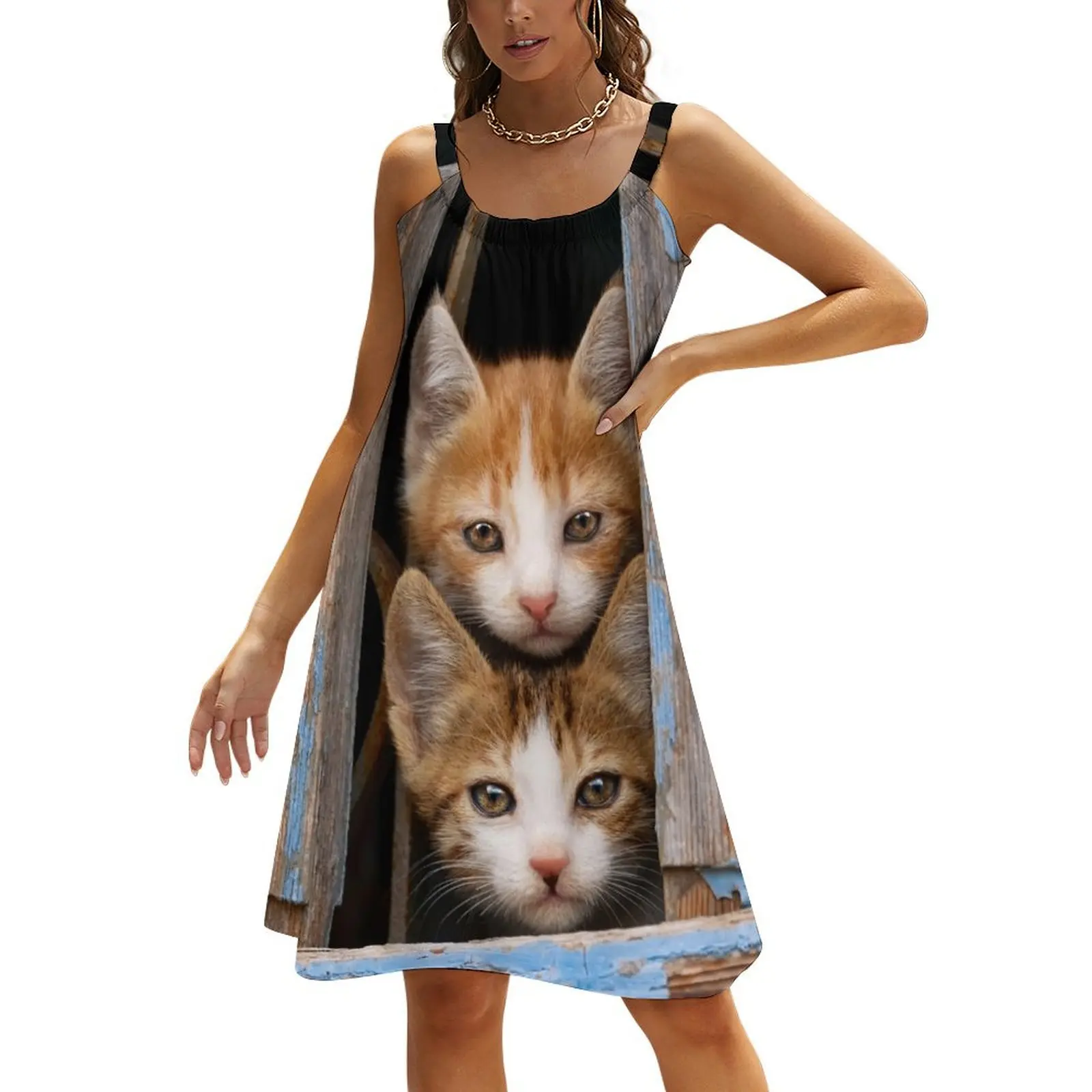 

Cute Cat Kittens in a Blue Vintage Window Beach Sling Skirt luxury woman party dress women's dresses luxury Woman fashion