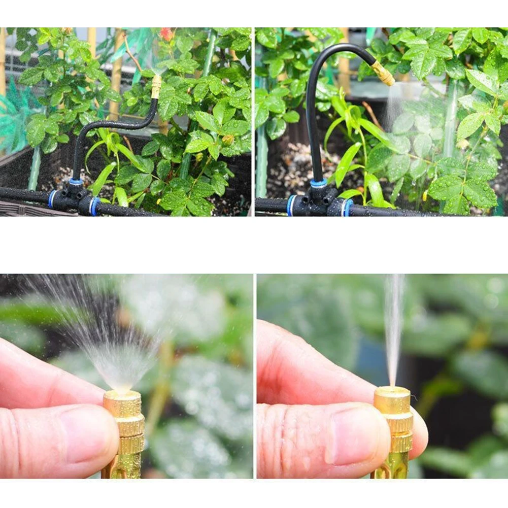 ����� ���� ������ ���� ����, �߿� �̽�Ʈ ���� ����, ���� ������ ���� ���� ����