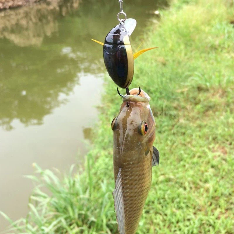 1pc Luya Bait Hard Baits Beetle Xiaoqiang Bionic Fake Lure 3.5cm/4g Insect Lures Water Surface Fishing Carp Mandarin Fish Bait