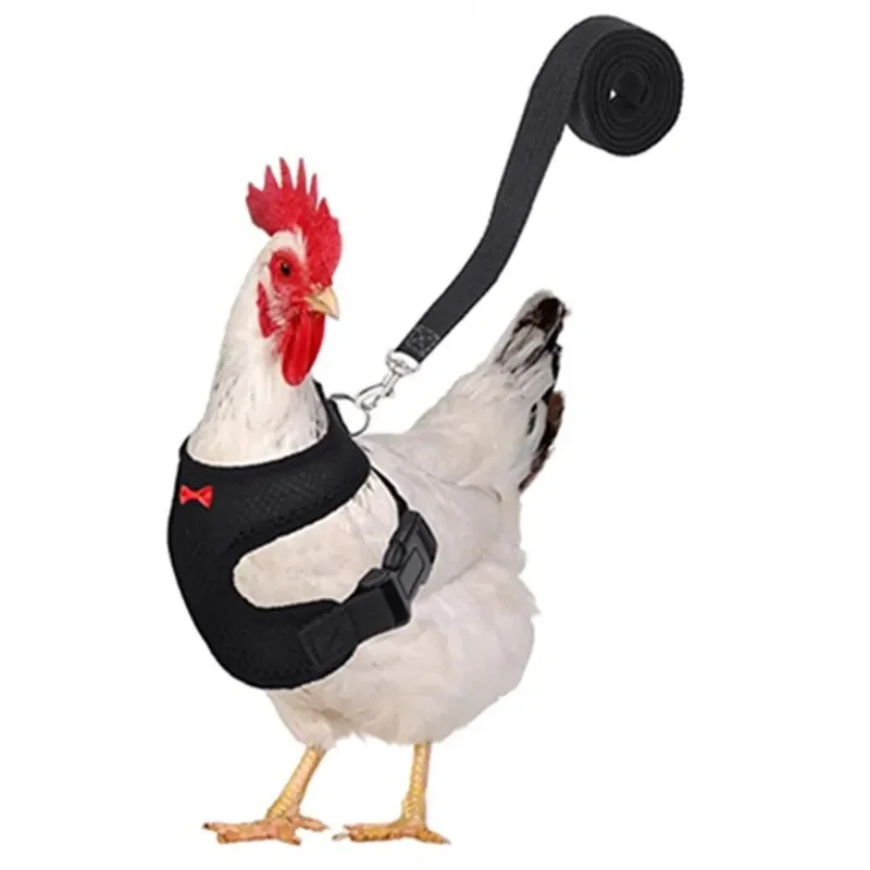 Pet Adjustable Harness Leash for Chicken Puppy Comfortable Breathable Pet Vest for Small Dogs Duck Goose Training Accessories chicken toys accessories