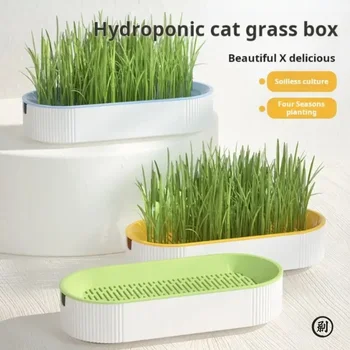 Hydroponic Cat Grass Box Cat Treats Catnip Hydroponic Soilless Planting Cat Grass Pot Set for Easy Growth 1